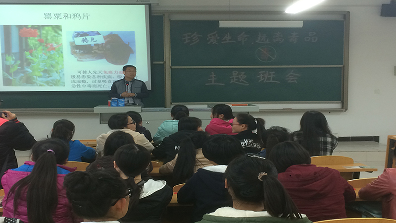 珍爱生命 远离毒品 外语系向毒品说NO